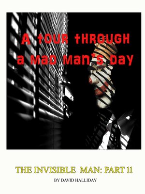 cover image of A Tour Through a Mad Man's Days